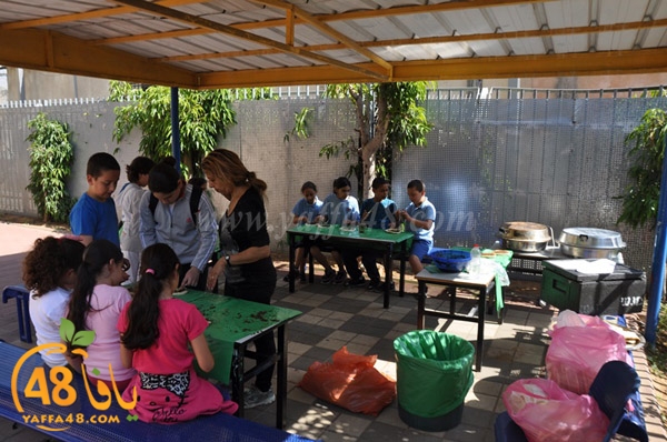 zhara2 school j3 (8).JPG